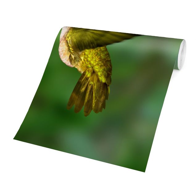 Wanddeko grün Kolibri und Blüte