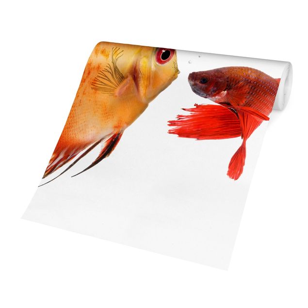 Wanddeko Esszimmer Küssende Fische