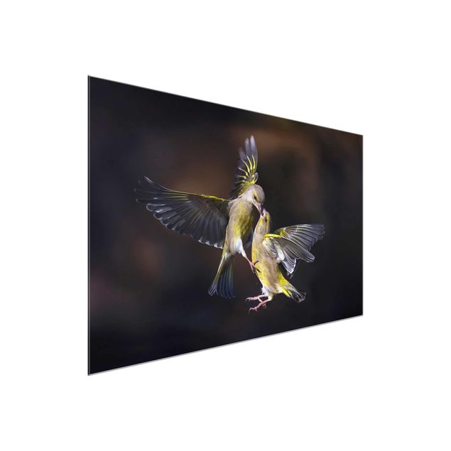 Wanddeko Esszimmer Küssende Kolibris