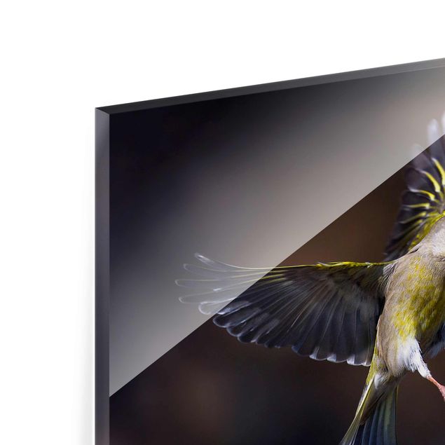 Wanddeko über Sofa Küssende Kolibris