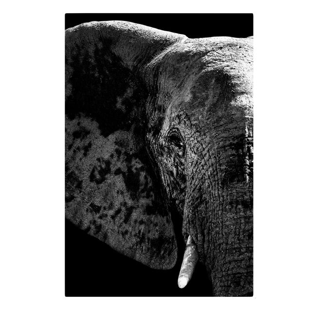 Wanddeko Schlafzimmer Afrikanischer Elefant schwarz-weiß