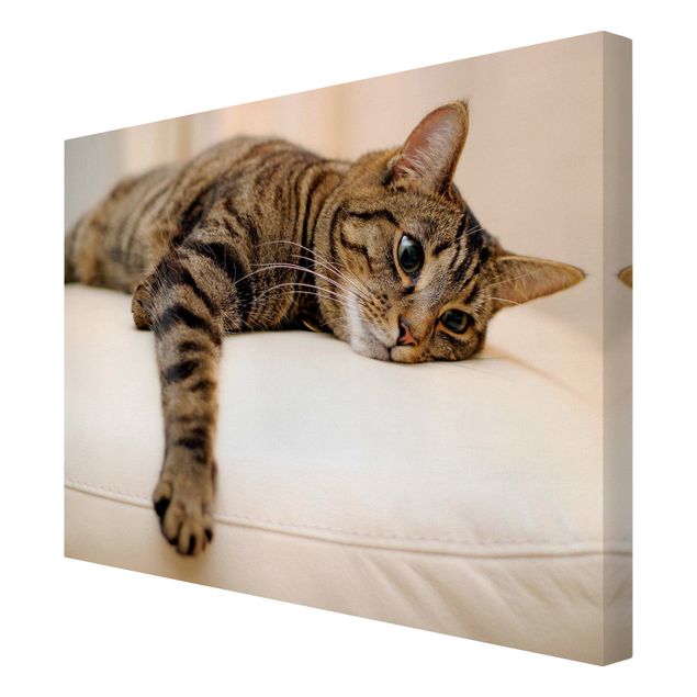 Wanddeko Esszimmer Cat Chill Out