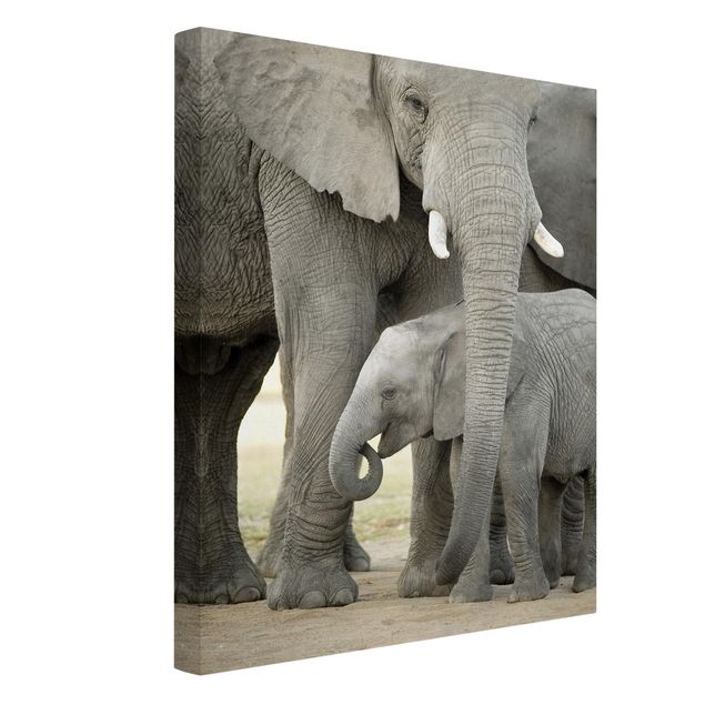 Wanddeko Wohnzimmer Elefantenliebe