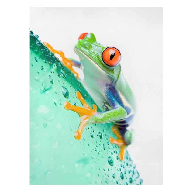 Wanddeko Esszimmer Frog
