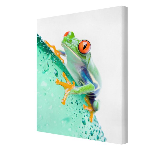 Wanddeko Büro Frog