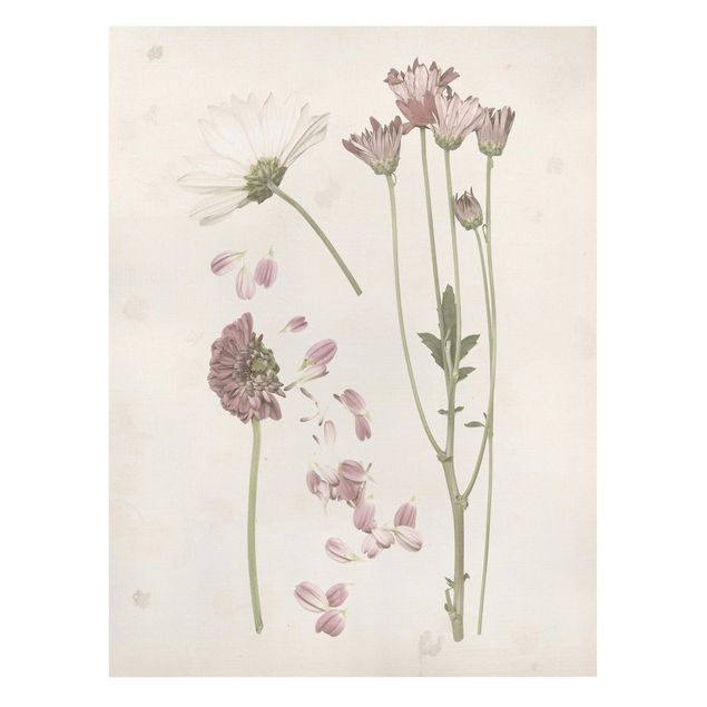 Wanddeko Esszimmer Herbarium in rosa II