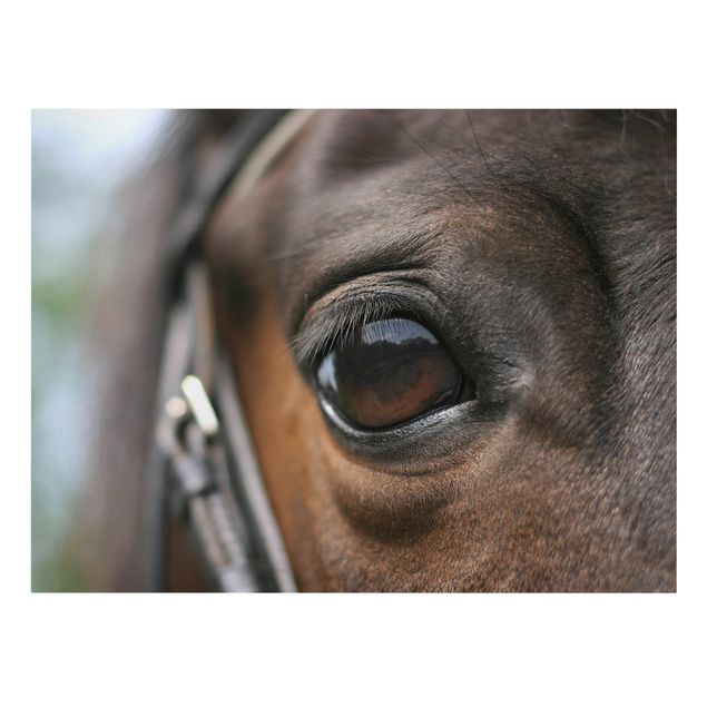 Wanddeko Esszimmer Horse Eye
