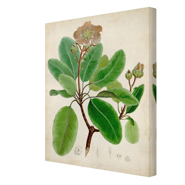 Wanddeko grün Laubbaum Schautafel VI