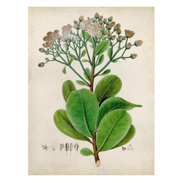 Wanddeko grün Laubbaum Schautafel VIII