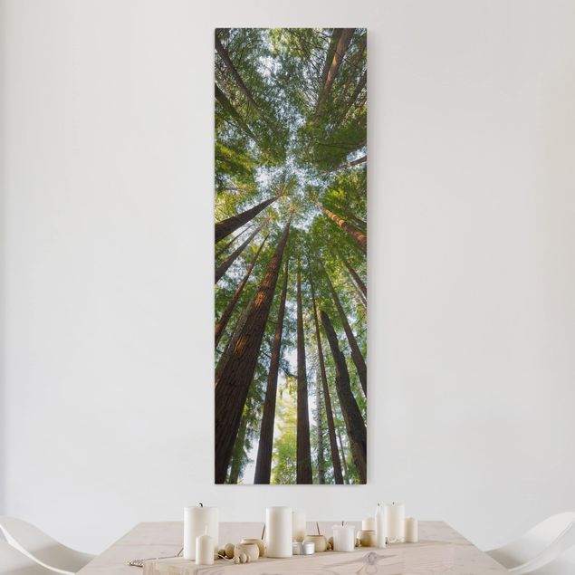 Wanddeko Wohnzimmer Mammutbaum Baumkronen