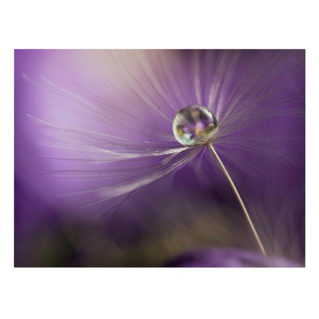Wohndeko Blume Pusteblume in Violett