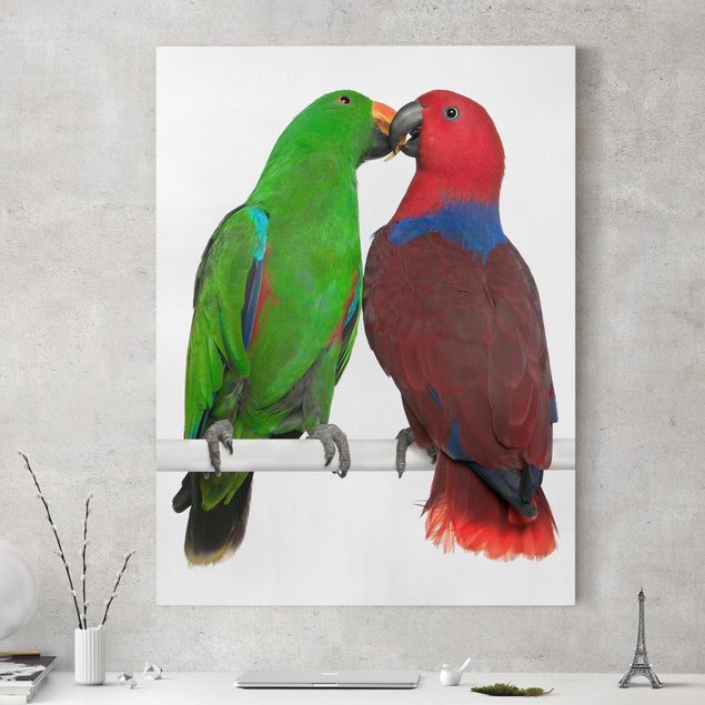 Wanddeko Wohnzimmer Verliebte Papageien