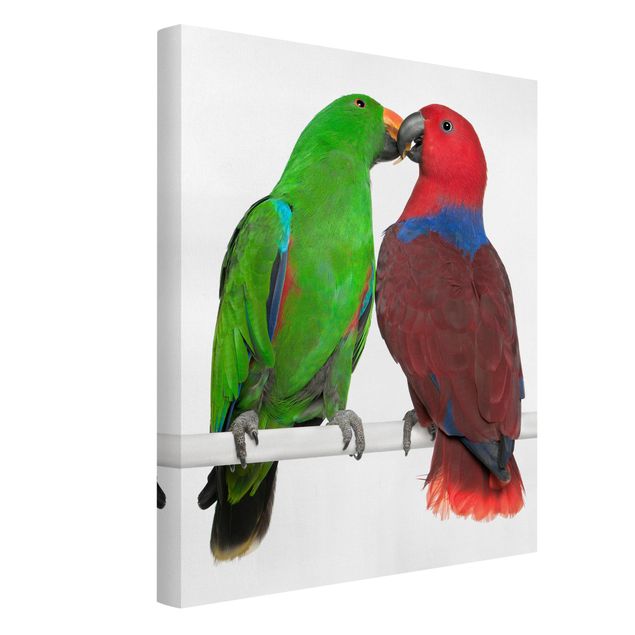 Wanddeko Esszimmer Verliebte Papageien