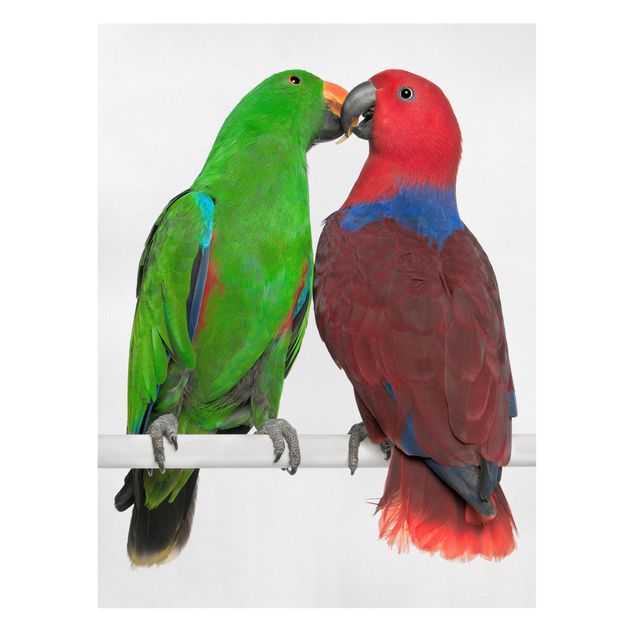 Wanddeko Büro Verliebte Papageien