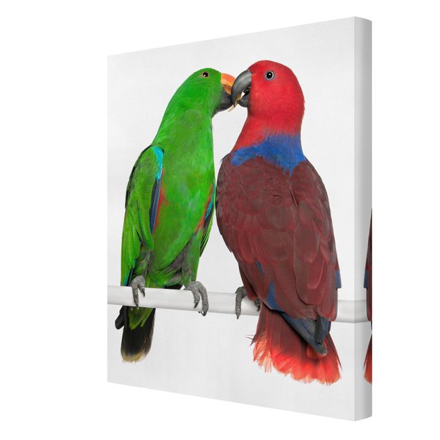 Leinwandbilder Vögel Verliebte Papageien