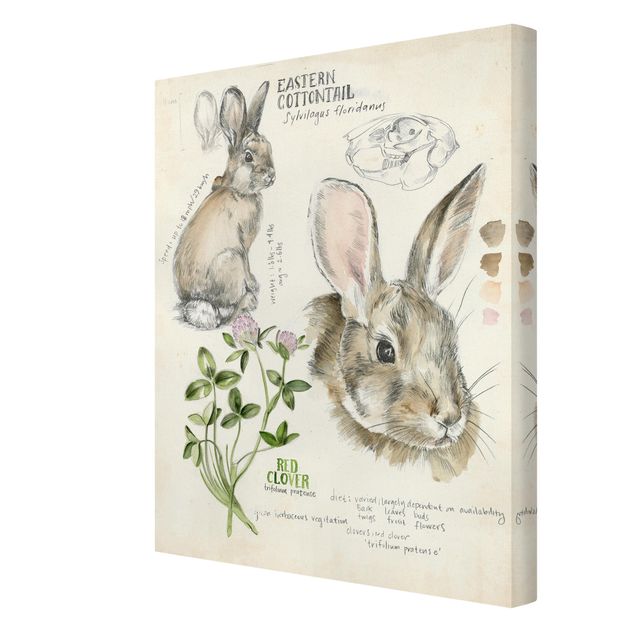 Wanddeko Büro Wildnis Journal - Kaninchen