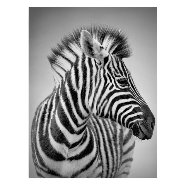 Wanddeko Esszimmer Zebra Baby Portrait II