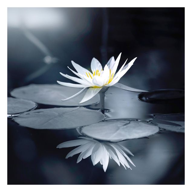 Wanddeko Flur Lotus Spiegelung im Wasser