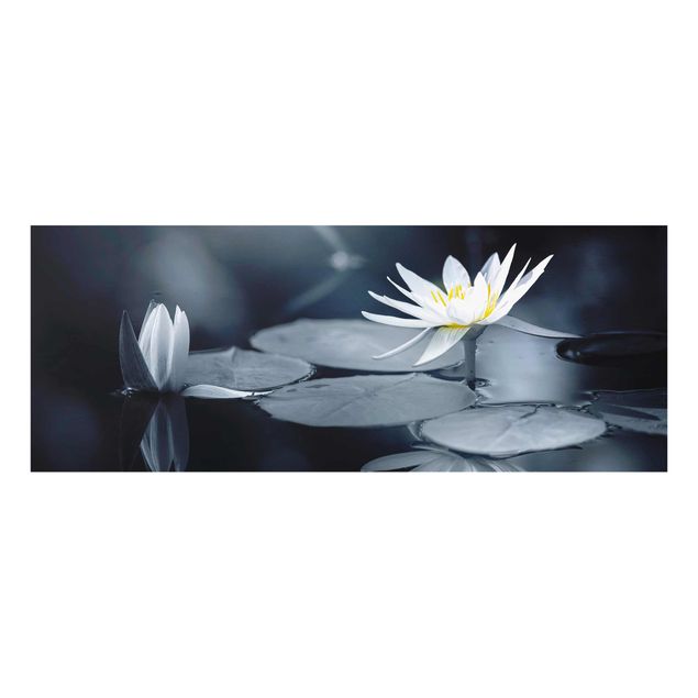 Wanddeko Flur Lotus Spiegelung im Wasser
