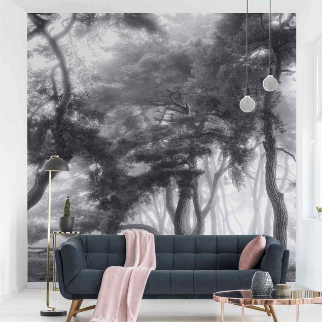Wanddeko Wohnzimmer Majestätische Bäume in Schwarz-weiß