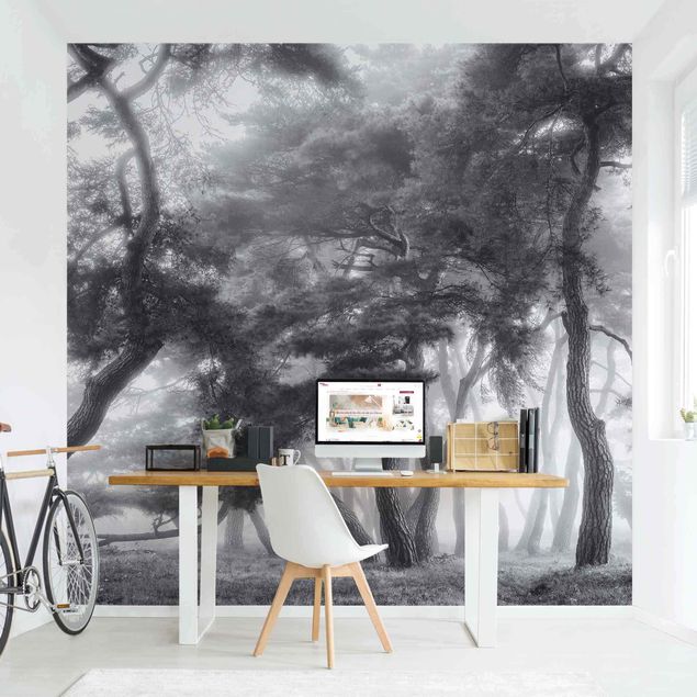 Wanddeko Schlafzimmer Majestätische Bäume in Schwarz-weiß