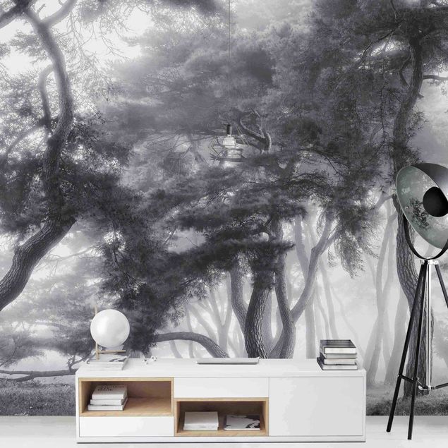Wanddeko Esszimmer Majestätische Bäume in Schwarz-weiß
