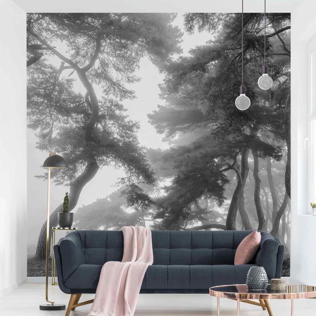 Wanddeko Wohnzimmer Majestätischer Wald in Schwarz-weiß