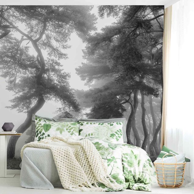 Wanddeko Schlafzimmer Majestätischer Wald in Schwarz-weiß