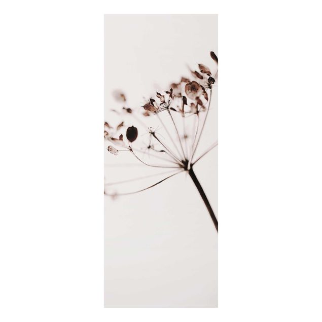 Wanddeko Esszimmer Makroaufnahme Trockenblume im Schatten