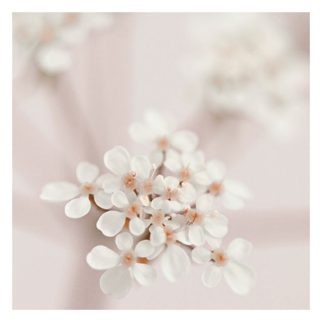 Wanddeko Kirschblüte Miniblüten im Rosanen Licht