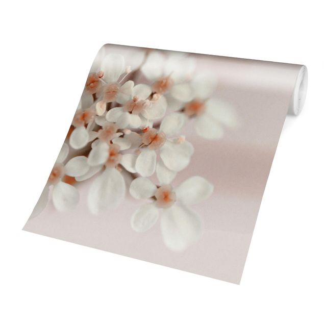 Wanddeko Esszimmer Miniblüten im Rosanen Licht