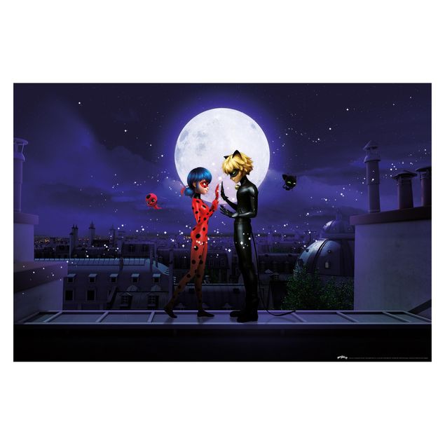 Wanddeko Jungenzimmer Miraculous Ladybug and Cat Noir im Mondlicht