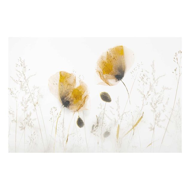 Wanddeko Esszimmer Mohnblumen und zarte Gräser im weichen Nebel
