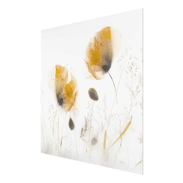 Wanddeko Büro Mohnblumen und zarte Gräser im weichen Nebel