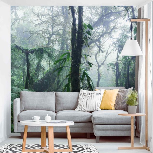 Wanddeko Wohnzimmer Monteverde Nebelwald
