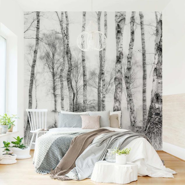 Wanddeko Schlafzimmer Mystischer Birkenwald Schwarz-Weiß