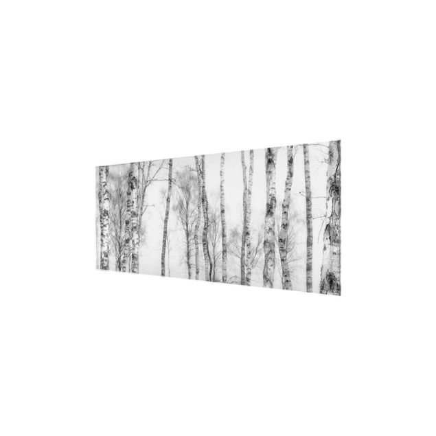 Wanddeko über Sofa Mystischer Birkenwald Schwarz-weiß