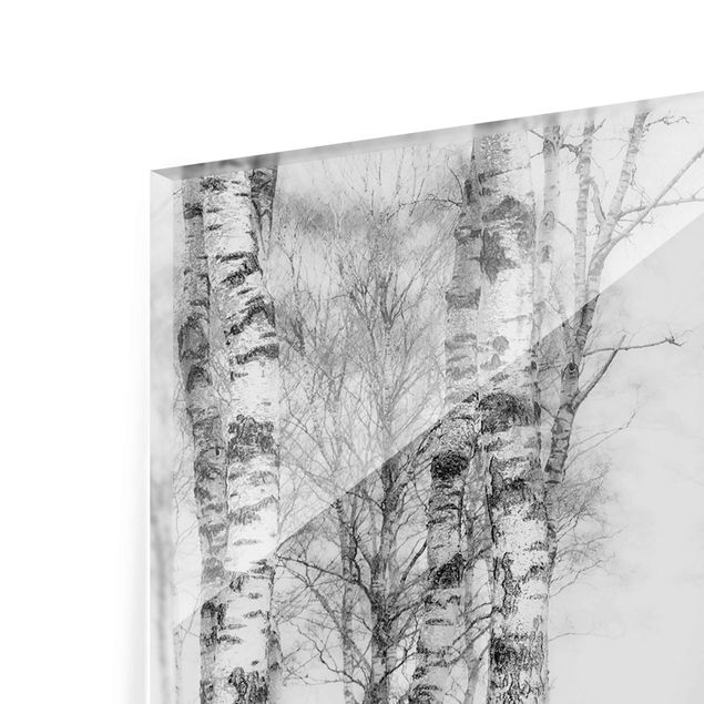 Wanddeko über Bett Mystischer Birkenwald Schwarz-weiß