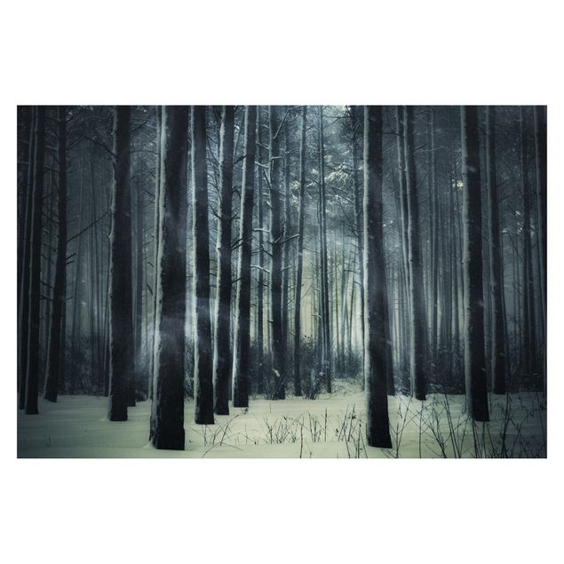 Wanddeko Esszimmer Mystischer Winterwald