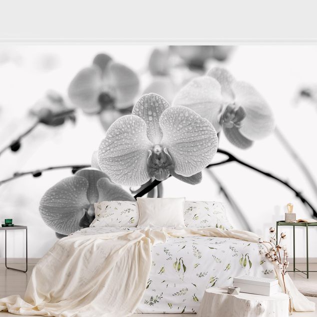 Wanddeko Schlafzimmer Nahaufnahme Orchidee Schwarz-Weiß