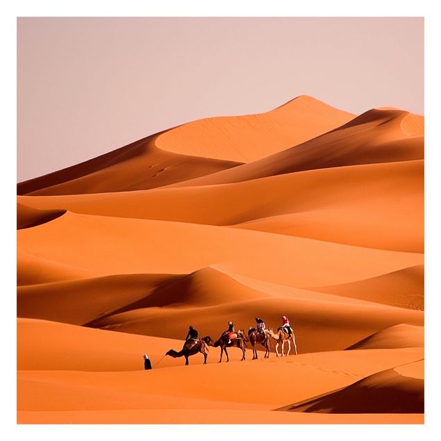 Wanddeko orange Namib Desert