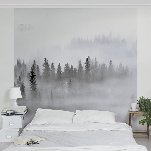 Wanddeko Wohnzimmer Nebel im Tannenwald Schwarz-Weiß