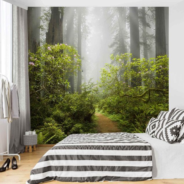 Wanddeko Schlafzimmer Nebliger Waldpfad