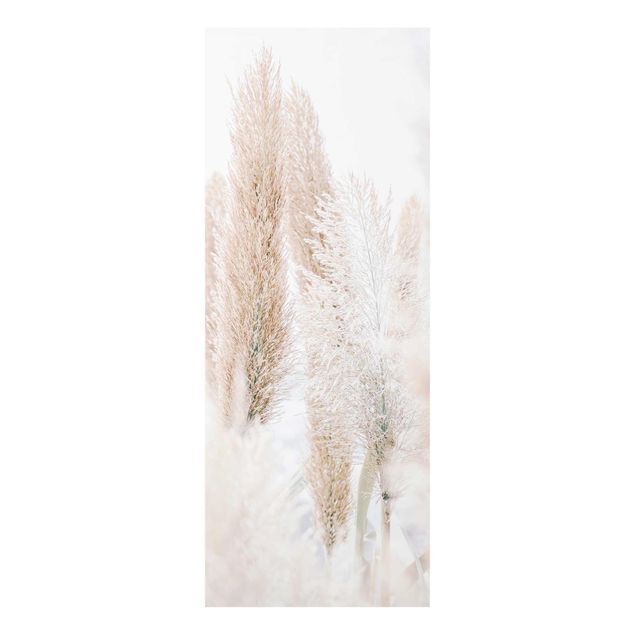 Wanddeko Esszimmer Pampasgras im Weißen Licht