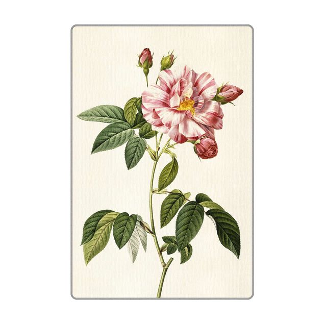 Wanddeko rosa Pierre Joseph Redouté - Rosa Gallica-Rose
