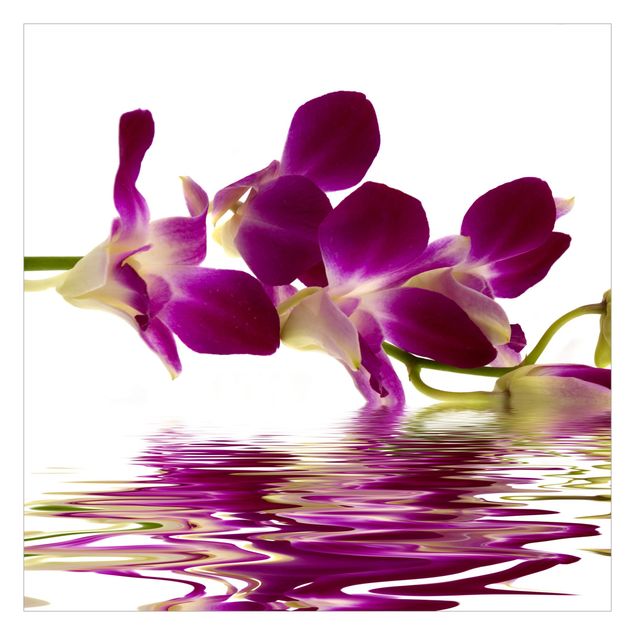 Wanddeko Flur Pink Orchid Waters