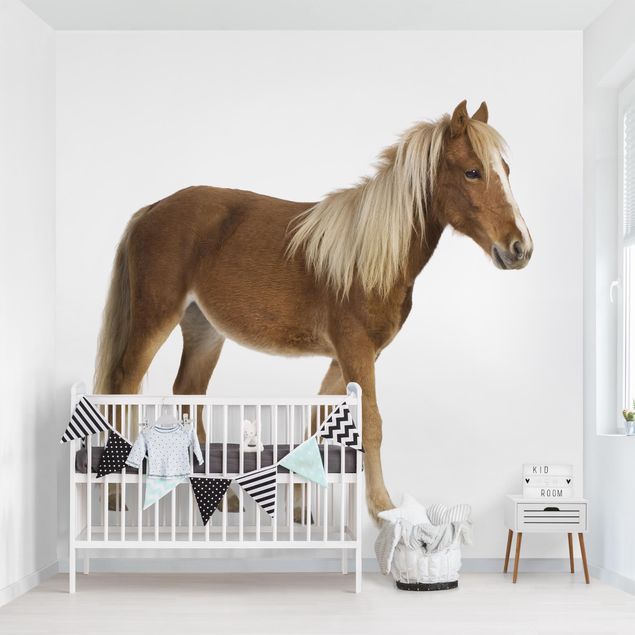 Babyzimmer Deko Pony