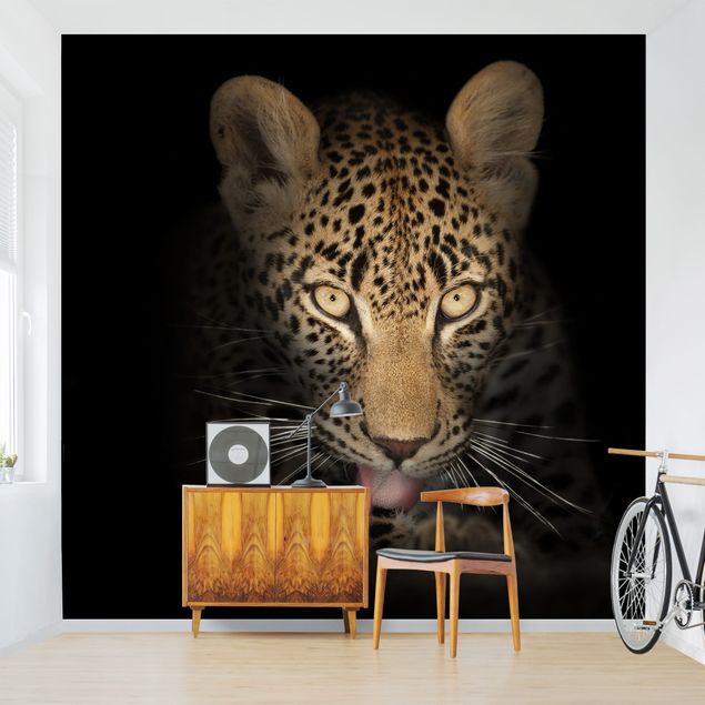 Fototapete Katze Resting Leopard