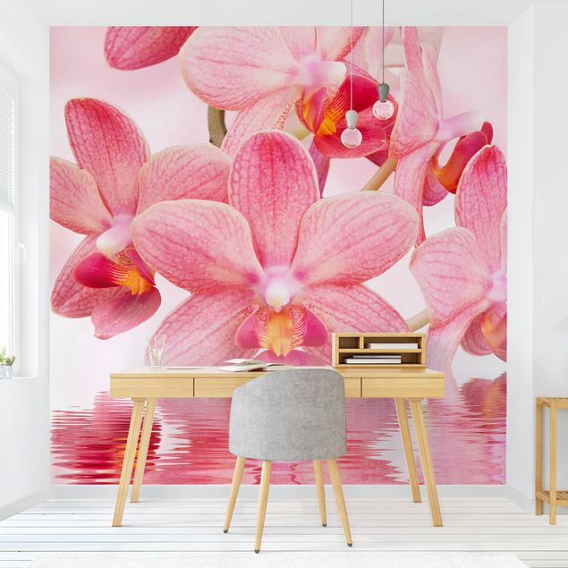 Wanddeko Botanik Rosa Orchideen auf Wasser