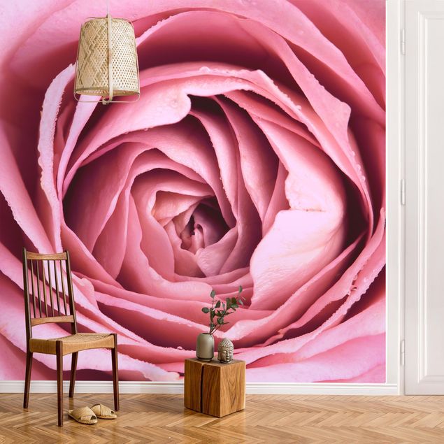 Wanddeko Wohnzimmer Rosa Rosenblüte